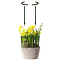 Miniatyrbild 6 av 6: Smart Stöd för Växter + Blommor i Jord - 14 cm