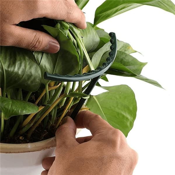 Smart Stöd för Växter + Blommor i Jord - 24 cm