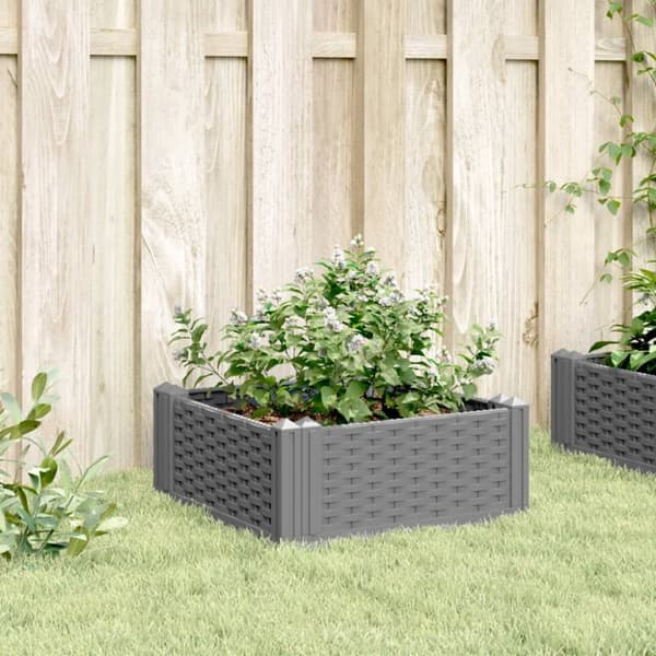 Odlingslåda med piggar ljusgrå 42,5x42,5x28,5 cm PP