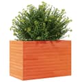 Miniatyrbillede 4 af 10: plantekasse 70x40x45,5 cm massivt fyrretræ gyldenbrun