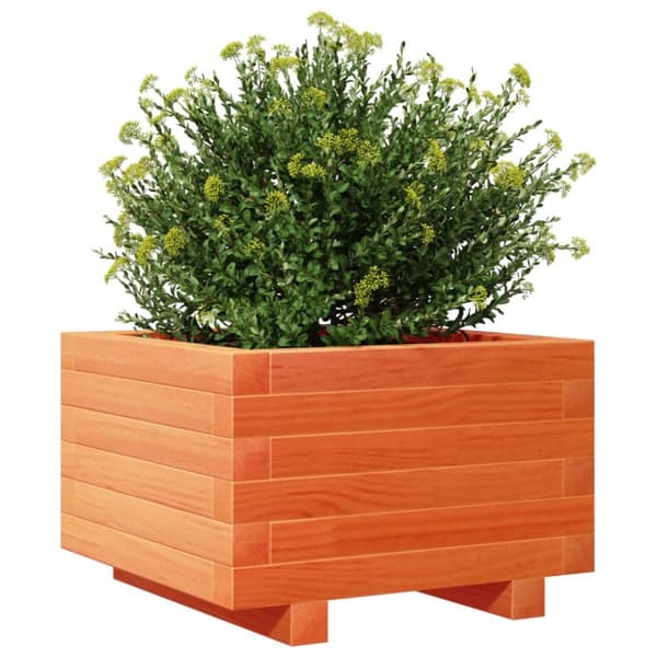 Odlingslåda vaxbrun 40x40x26,5 cm massiv furu