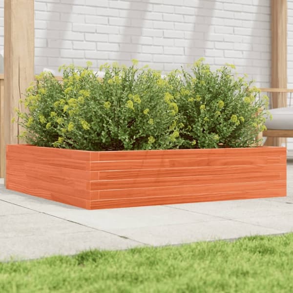 plantekasse 100x100x23 cm massivt fyrretræ gyldenbrun