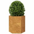 Pikkukuva 5 / 10: Puutarhakukkalaatikot 2 kpl kuusikulma 46x40x45 cm Corten teräs
