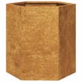 Pikkukuva 7 / 10: Puutarhakukkalaatikot 2 kpl kuusikulma 46x40x45 cm Corten teräs