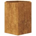 Pikkukuva 8 / 10: Puutarhakukkalaatikot 2 kpl kuusikulma 46x40x45 cm Corten teräs