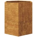 Pikkukuva 9 / 10: Puutarhakukkalaatikot 2 kpl kuusikulma 46x40x45 cm Corten teräs