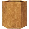Pikkukuva 10 / 10: Puutarhakukkalaatikot 2 kpl kuusikulma 46x40x45 cm Corten teräs