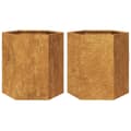 Pikkukuva 2 / 10: Puutarhakukkalaatikot 2 kpl kuusikulma 46x40x45 cm Corten teräs
