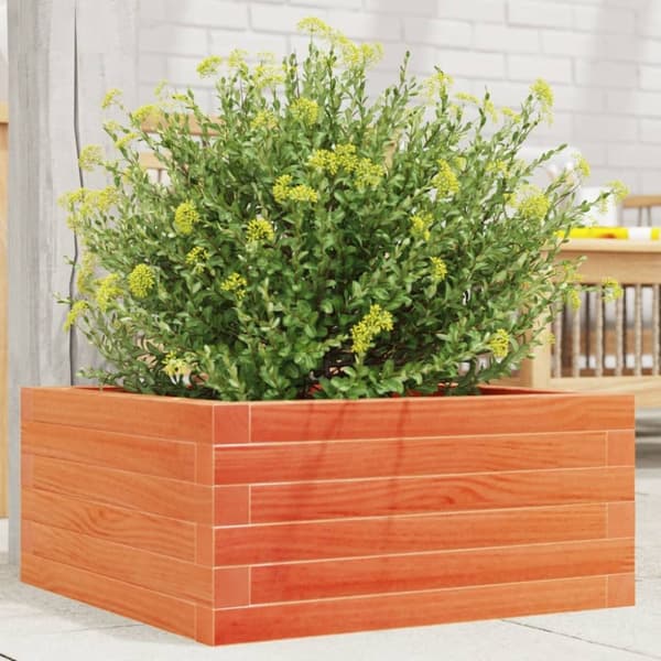 plantekasse 50x50x23 cm massivt fyrretræ gyldenbrun