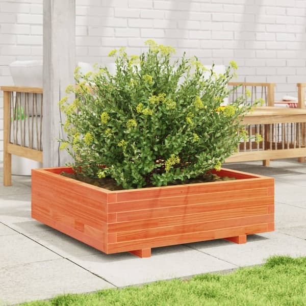plantekasse 80x80x26,5 cm massivt fyrretræ gyldenbrun