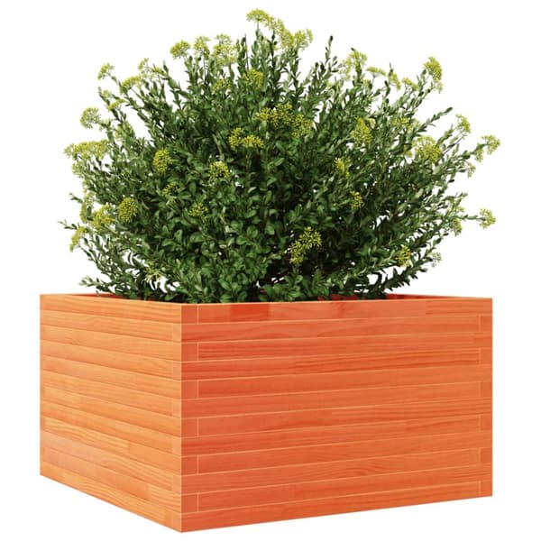 plantekasse 80x80x45,5 cm massivt fyrretræ gyldenbrun