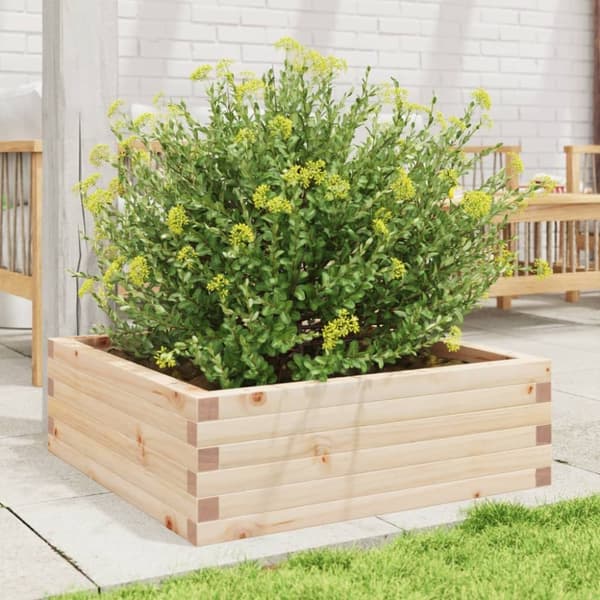 plantekasse 70x70x23 cm massivt fyrretræ