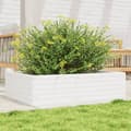 Miniatyrbillede 1 af 10: plantekasse 90x60x23 cm massivt fyrretræ hvid