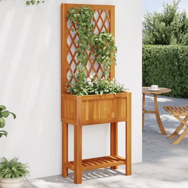 plantekasse med espalier og hylde 55x29,5x152 cm massivt akacie