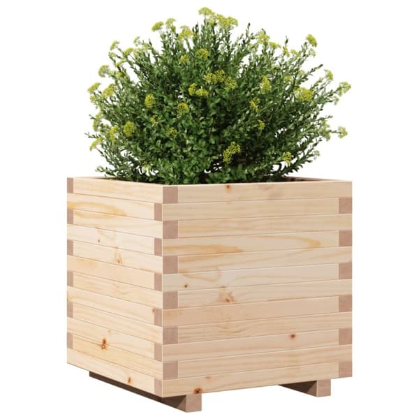 plantekasse 50x50x49,5 cm massivt fyrretræ