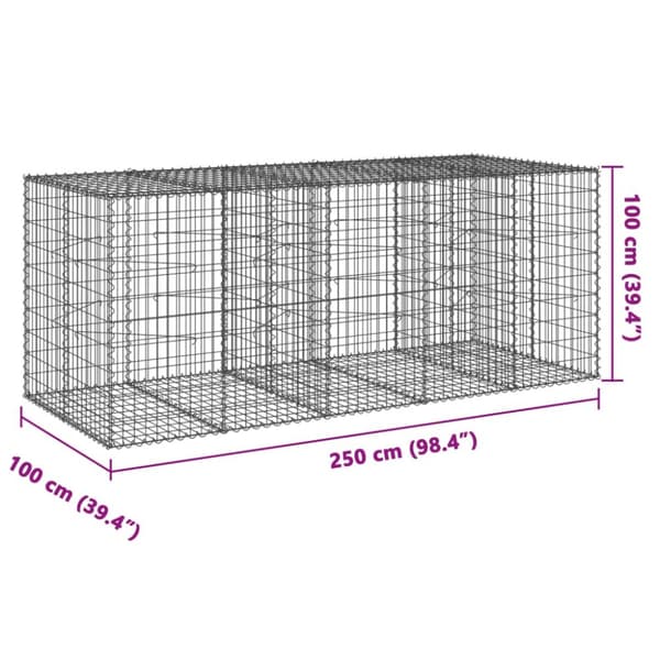 Gabionkorg med skydd 250x100x100 cm galvaniserat järn