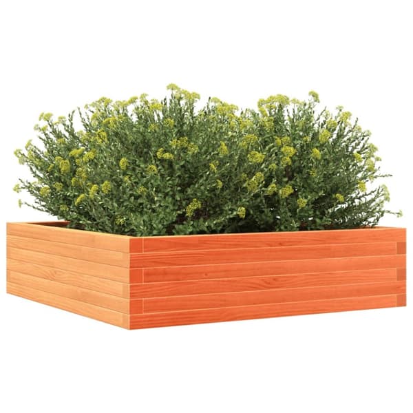 plantekasse 90x90x23 cm massivt fyrretræ gyldenbrun