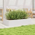 Miniatyrbillede 3 af 10: plantekasse 110x60x23 cm massivt fyrretræ hvid