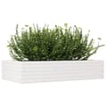Miniatyrbillede 4 af 10: plantekasse 110x60x23 cm massivt fyrretræ hvid