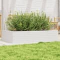 Miniatyrbillede 1 af 10: plantekasse 110x60x23 cm massivt fyrretræ hvid