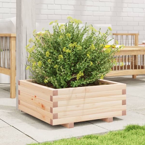 Odlingslåda 60x60x26,5 cm massivt furuträ
