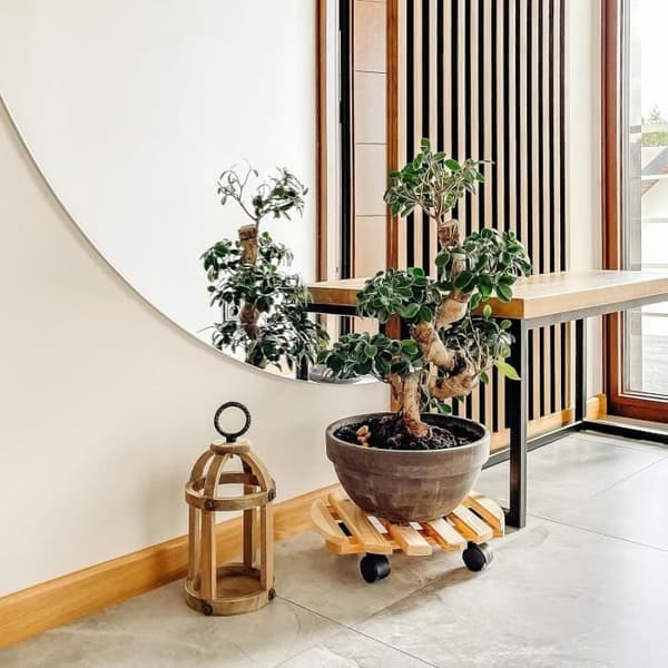 Creative Home Plant Stand on Wheels i massivt trä | Diameter 35 cm | Lastkapacitet 80 kg | Plant Flower Wheeled Stand