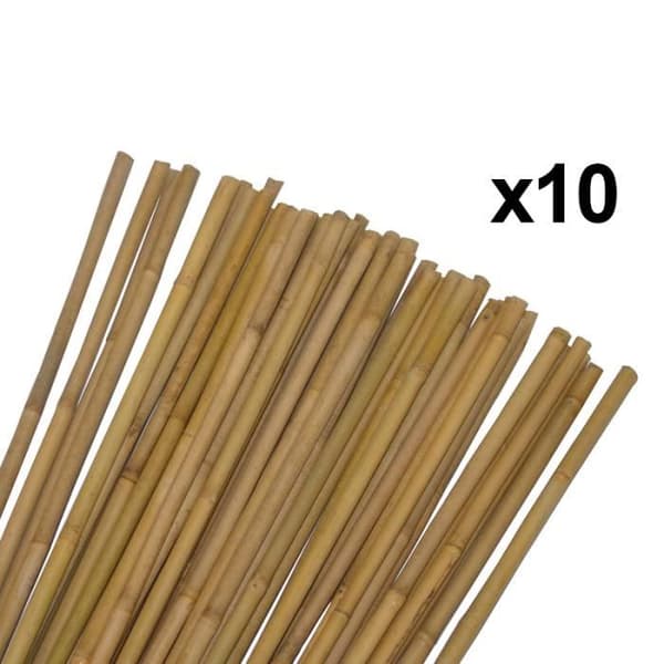 Set med 10 pålar för växter och grönsaker - Bambu - Höjd 90 cm