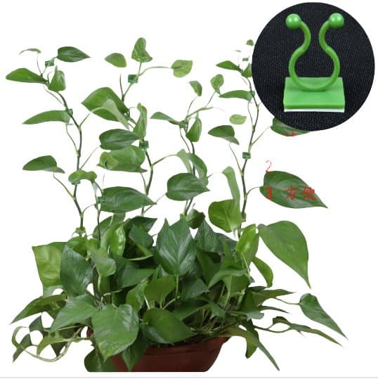 INF 10-pakning små rankeclips for planter, selvklebende veggranke-klips