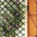 Miniatyrbild 1 av 2: MINI-TRELLIS vit plastspaljé - INTERMAS TRÄDGÅRD - 0,50 x 1,5 meter - Plast
