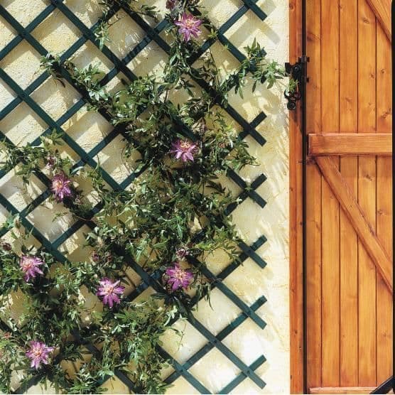 MINI-TRELLIS vit plastspaljé - INTERMAS TRÄDGÅRD - 0,50 x 1,5 meter - Plast