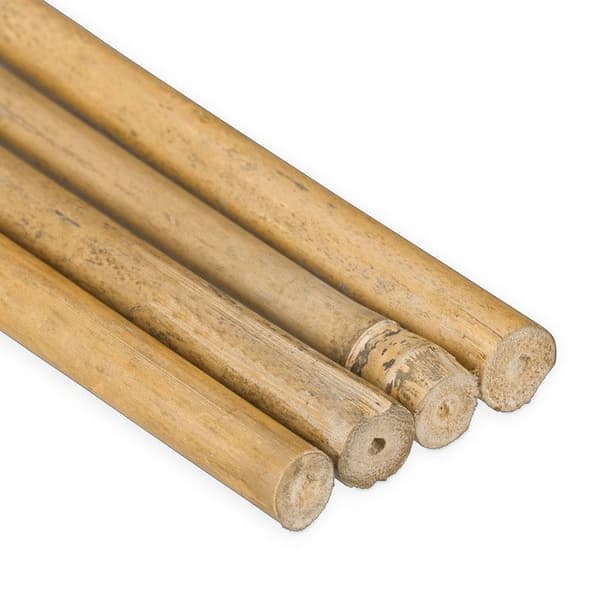 Relaxdays Bambustänger 105 cm, i naturbambu, bambuspinnar som stöd eller dekoration, för att pyssla, naturlig