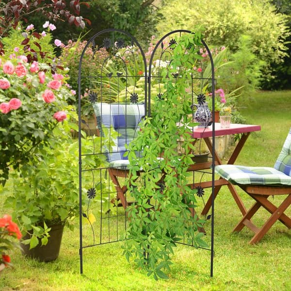 Relaxdays tomatstöd, i paket om 2, för klätterväxter, i metall, att plantera, H x B: ca 150 x 50 cm, svart