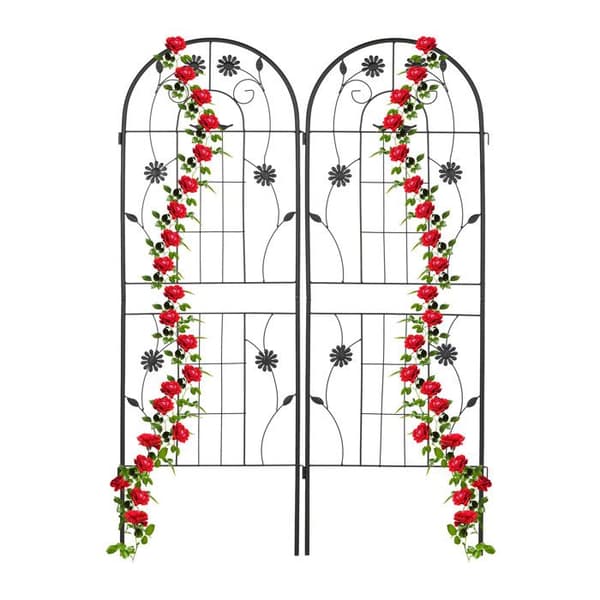 Relaxdays tomatstöd, i paket om 2, för klätterväxter, i metall, att plantera, H x B: ca 150 x 50 cm, svart