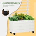 Miniatyrbillede 6 af 9: Plantekasse med espalier, 76x30x155 cm, Hvid
