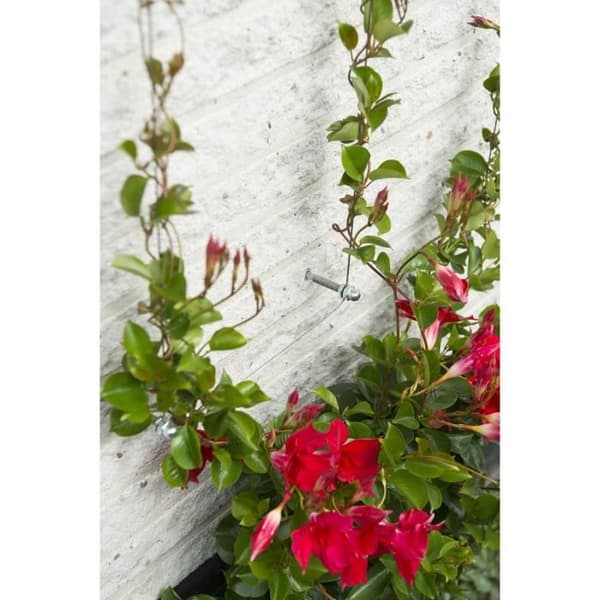Trådnet - NATURE - Træningssæt til klatreplanter - galvaniseret jerntråd Ø1,8 mm x 10 m