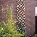 Pikkukuva 4 / 5: NATURE Bambu venyvä ritilä 45x180cm - Ruskea