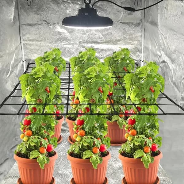 Lollanda Plantenet / Støttenet til planter med kroge