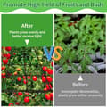 Miniatyrbillede 5 af 7: Lollanda Plantenet / Støttenet til planter med kroge