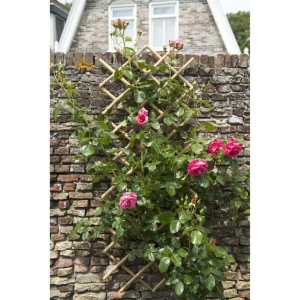 Udvideligt espalier - NATUR - Bambus - 45 x 180 cm