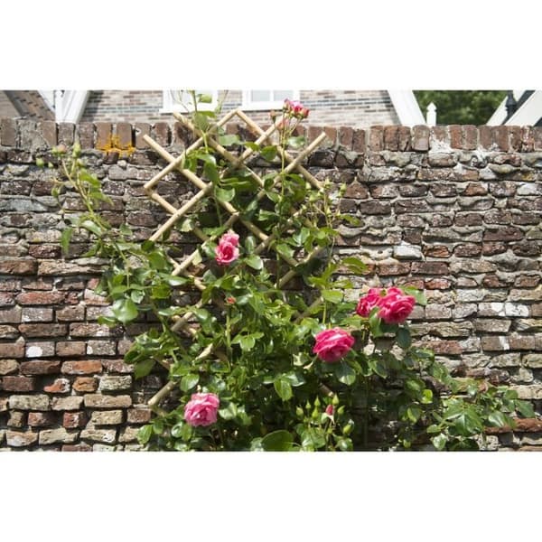 Udvideligt espalier - NATUR - Bambus - 45 x 180 cm