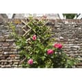 Miniatyrbillede 2 af 5: Udvideligt espalier - NATUR - Bambus - 45 x 180 cm