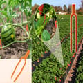Miniatyrbild 4 av 6: INF Plantstödklämmor - Säkra dina trädgårdsväxter Orange