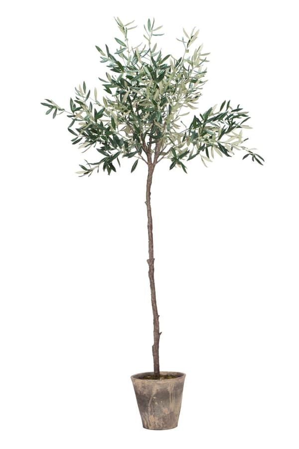 FURNLUX FALSK PLANTE FLORA GRØN 24CM