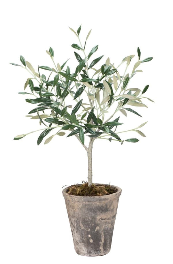 FURNLUX KONSTGJORD VÄXT FLORA GRÖN 13CM