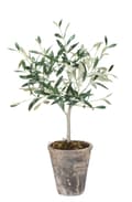 Miniatyrbild 1 av 4: FURNLUX KONSTGJORD VÄXT FLORA GRÖN 13CM