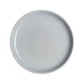 Miniatyrbild 1 av 4: Studio Blue Pebble Coupe Tallrik 26cm