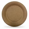 Miniatyrbillede 2 af 2: plade Algon Engangsanvendelse kraftpapir 10 Dele 20 cm (24 enheder)