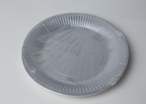 10 RUNDA PAPPPLATSER 23 CM SILVER