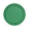 Miniatyrbilde 2 av 4: Platesett Algon Grønn 20 cm 10 Deler (24 enheter)