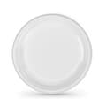 Miniatyrbild 3 av 3: Tallriksset Algon Plast 20,5 cm 20,5 x 2 cm 12 Delar (24 antal)